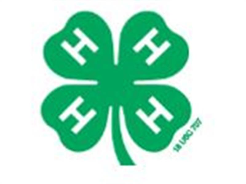 Logo for 2025 Kalamazoo County 4-H Showcase