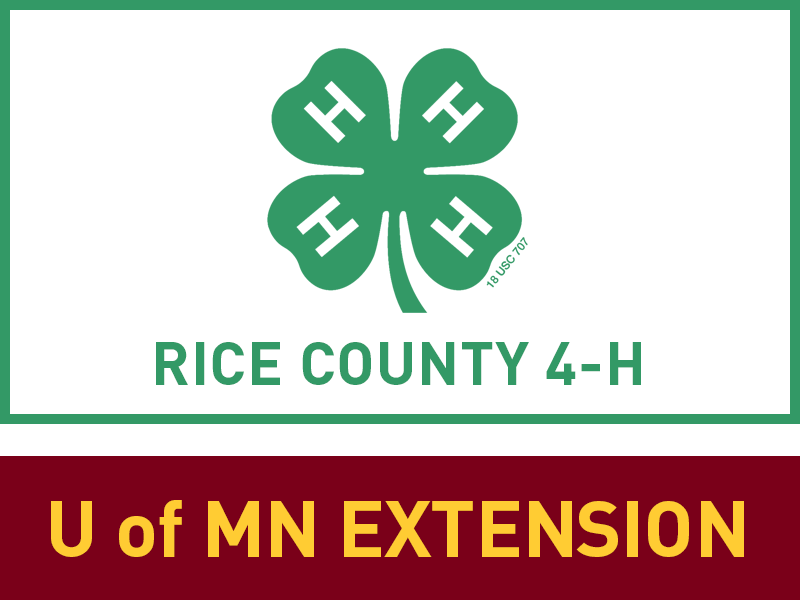 Logo for 2025 Rice County Fair