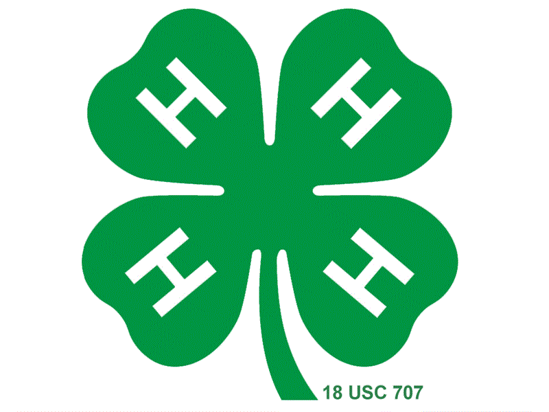 Logo for 2025 Lawrence County 4-H Fair