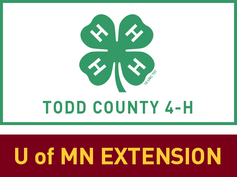 Logo for 2025 Todd County Fair