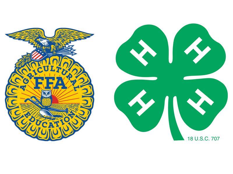 Logo for 2025 Randolph County Fair