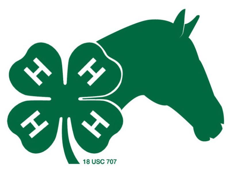 Logo for 2025 Tripp County Horse Show