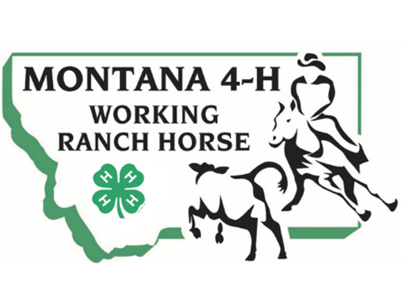 Logo for 2025 Working Ranch Horse Finals