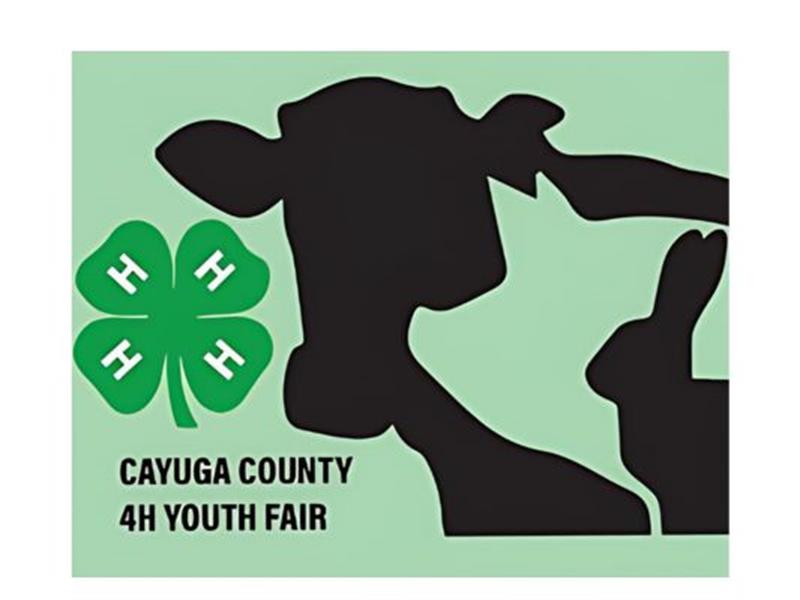Logo for 2025 Cayuga County 4-H Youth Fair