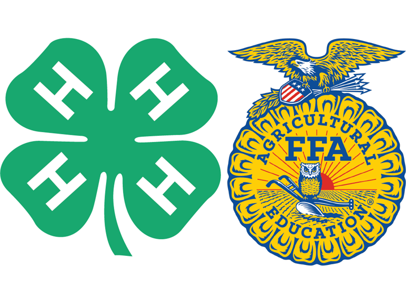 Logo for 2025 Custer County Fair