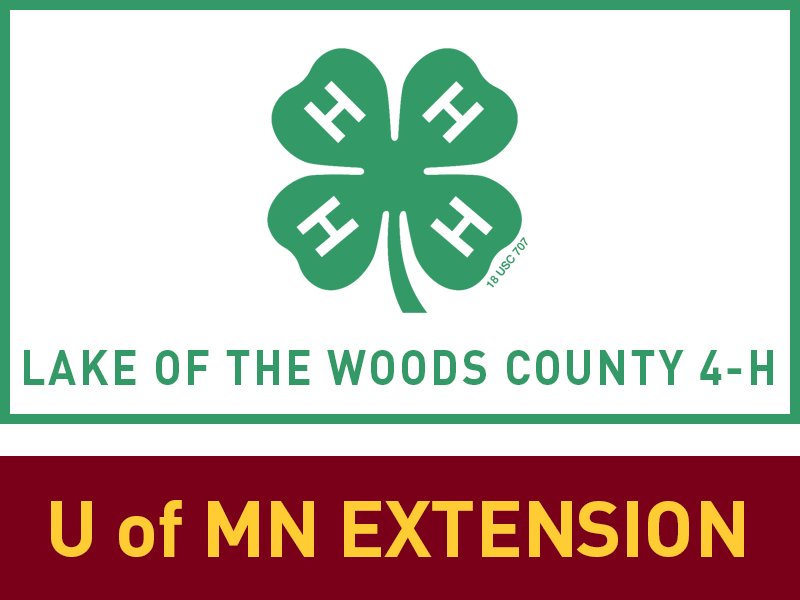 Logo for 2025 Lake of the Woods County Fair