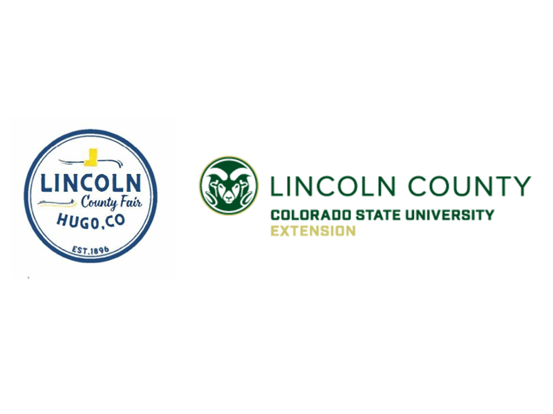Logo for 2025 Lincoln County Fair