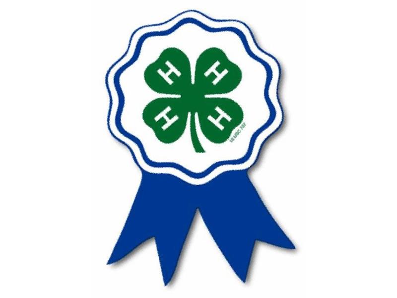 Logo for 2025 Chautauqua County Fair