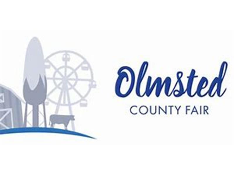 Logo for 2025 Olmsted County Fair