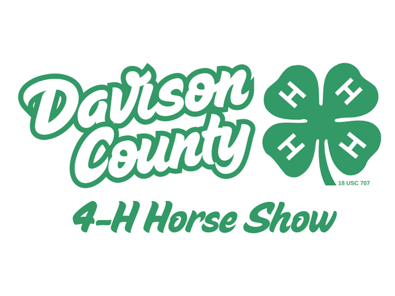 Logo for 2025 Davison County Horse Show