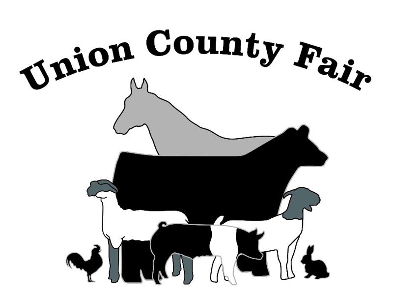Logo for 2025 Union County Fair