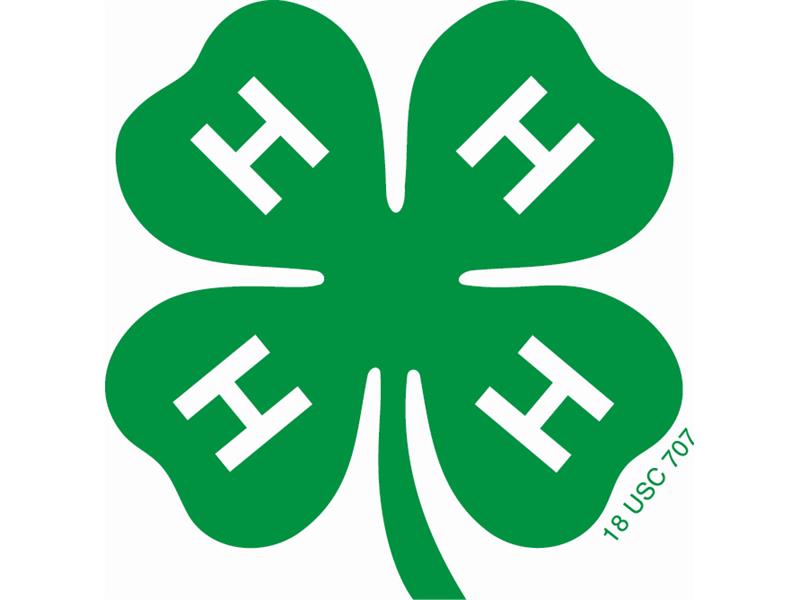 Logo for 2026 Cattaraugus County Fair (4-H)